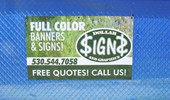 Dollar Signs & Designs